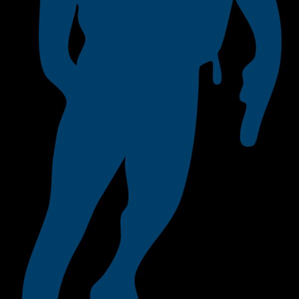 AR OTHER SPORTS 39 RC Thumbnail