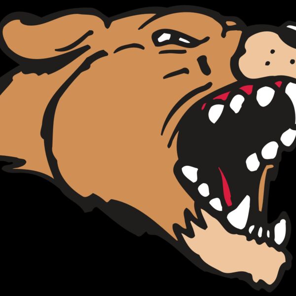 AR5 COUGAR 33 RQC Thumbnail