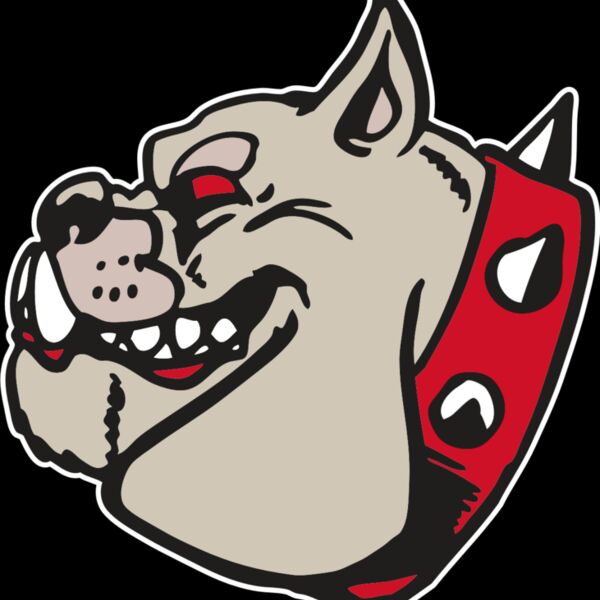 AR BDOG 47 RC Thumbnail