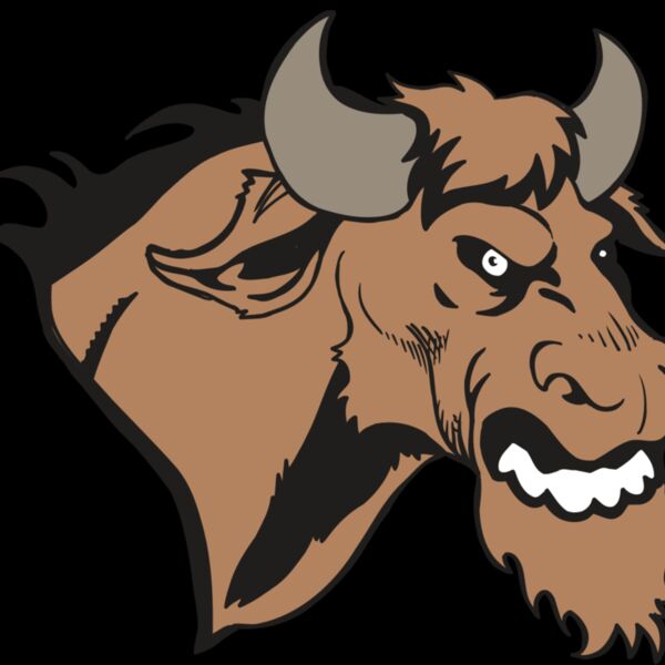 AR5 BULL 09 RQC Thumbnail