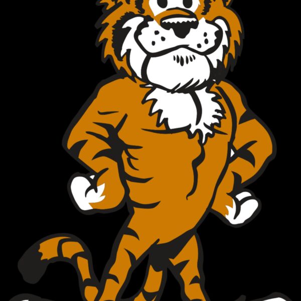 AR TIGER 91 RC Thumbnail