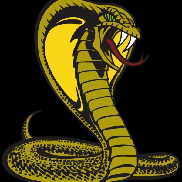 BAW SNAKE 02 RC Thumbnail