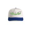 Class Two-Tone Cap Thumbnail
